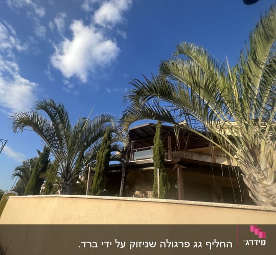 עצים גבוהים ליד מבנה עם גג עץ